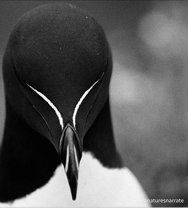 poiesislab-george-mihai-designer-inspiration261